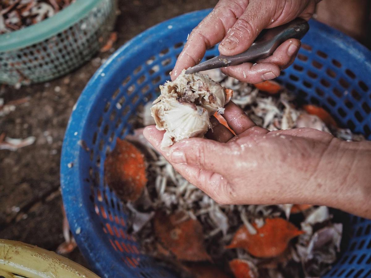 Rub Lom Chom Klong Homestay Chumphon Zewnętrze zdjęcie